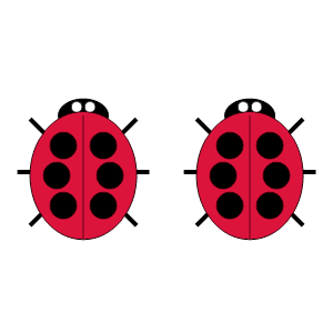 An svg image showing a math problem