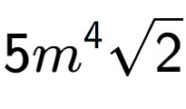 A LaTex expression showing 5{m} to the power of 4 square root of 2