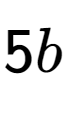 A LaTex expression showing 5b