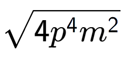 A LaTex expression showing square root of 4{p to the power of 4 {m} to the power of 2 }