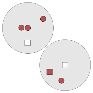 An svg image showing a math problem