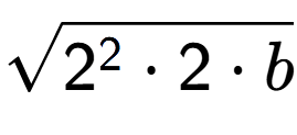 A LaTex expression showing square root of 2 to the power of 2 times 2 times b