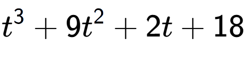 A LaTex expression showing t to the power of 3 + 9t to the power of 2 + 2t + 18